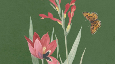 Spring Releases 2026