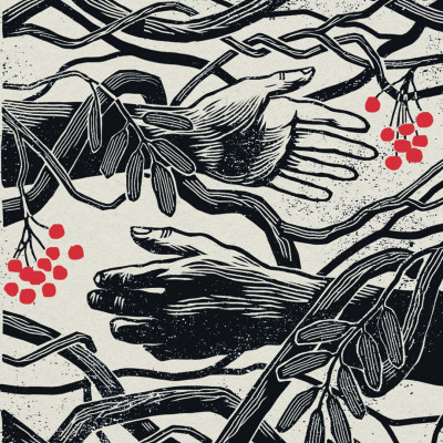 Autumn Releases 2026