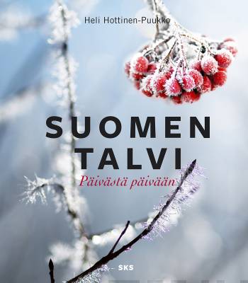 Suomen talvi